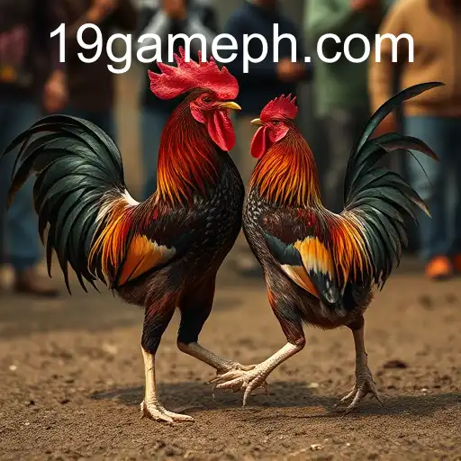 The Complex World of Cockfighting: Exploring the 19 GAME Phenomenon